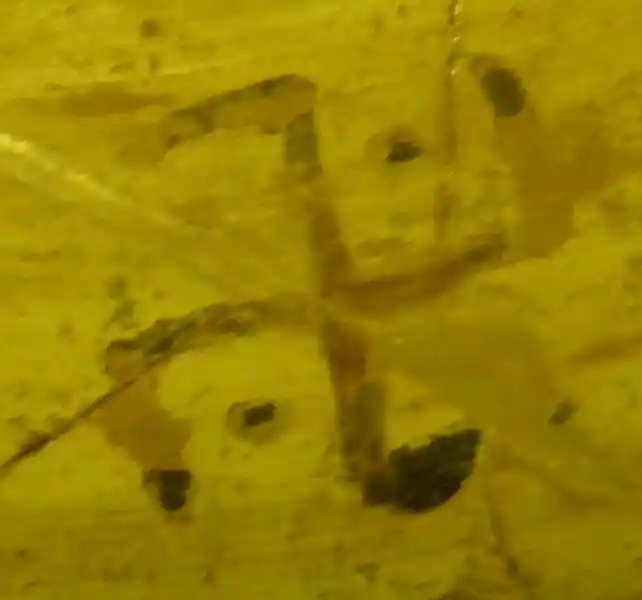 Pre-Christian swastika cross with dots on the sides, located Archaeological Museum of Izmir, Turkey